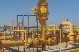 New ReNu pump head technology provides accurate and repeatable flow for polymer quantitative transpo